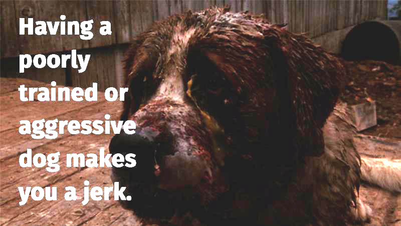 having a trained or aggressive dog makes you a jerk