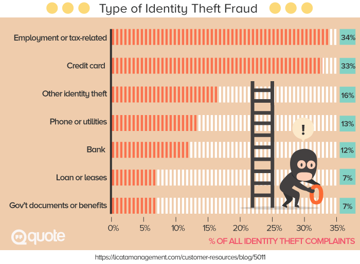 Type of Identity Theft Fraud