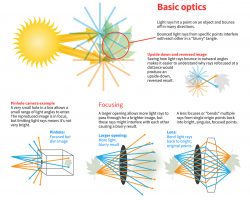 diagram of basic human eye optics