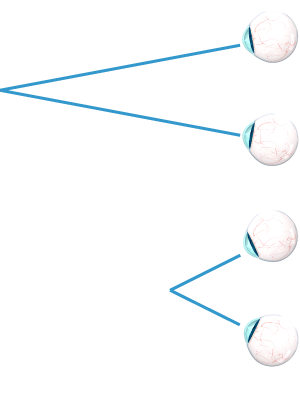 diagram of the human eye pupil