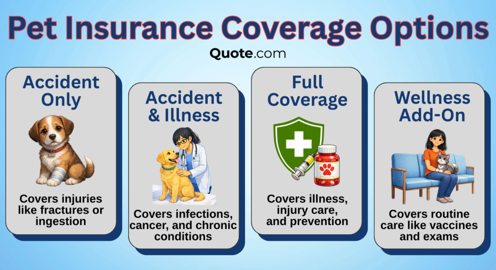 Pet Insurance Coverage Options Pet Insurance Coverage Options