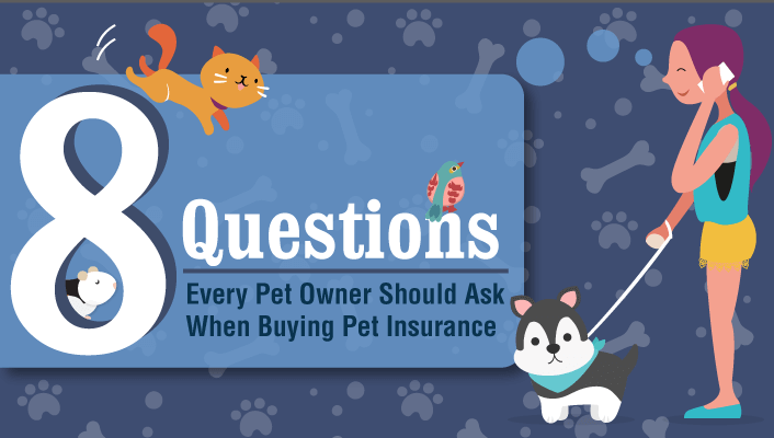 8 Questions to Ask When Considering Pet Insurance