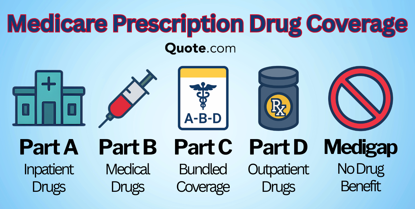 Medicare Prescription Drug Coverage Infographic