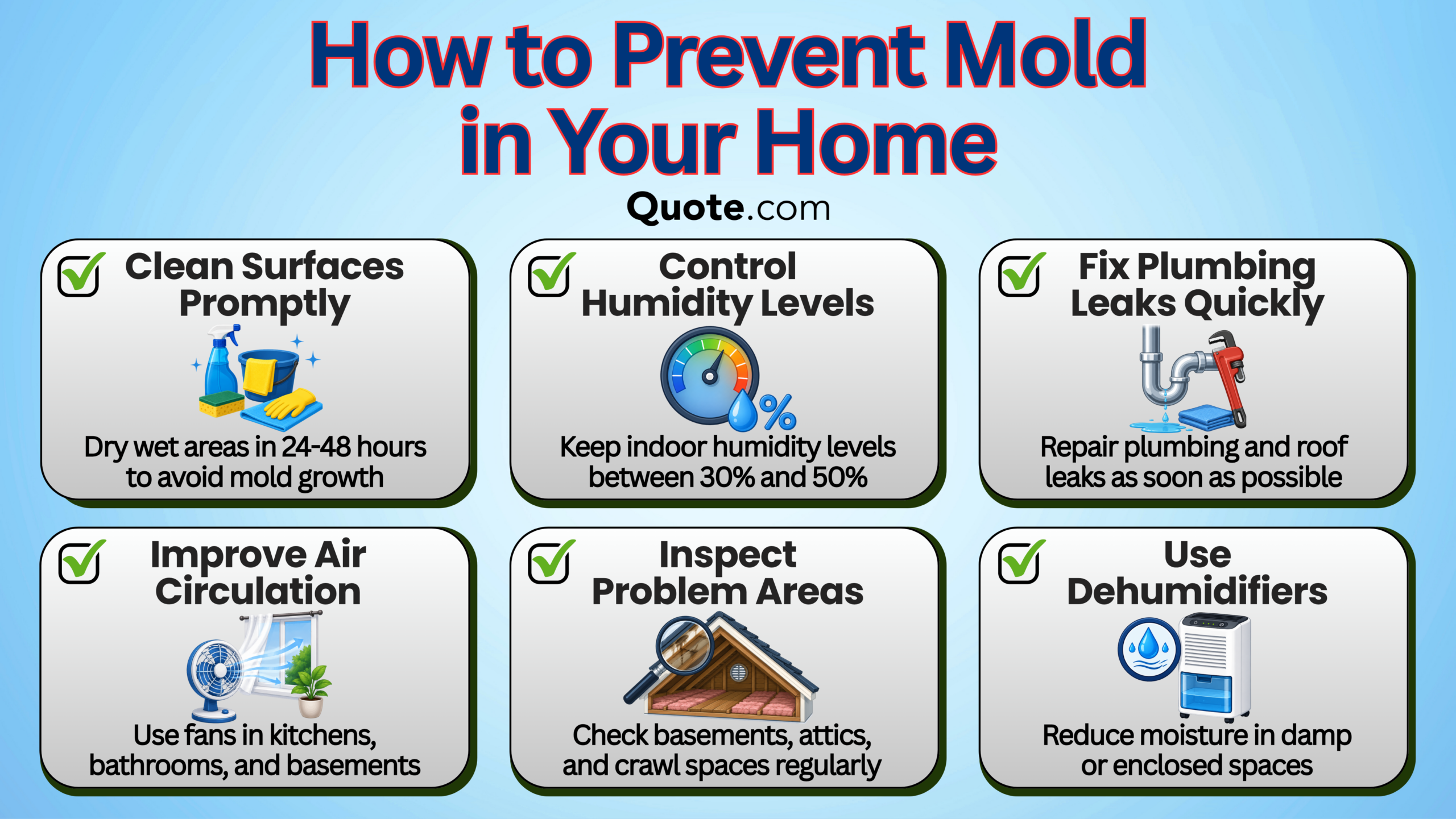 How to Prevent Mold in Your Home Infographic How to Prevent Mold in Your Home Infographic