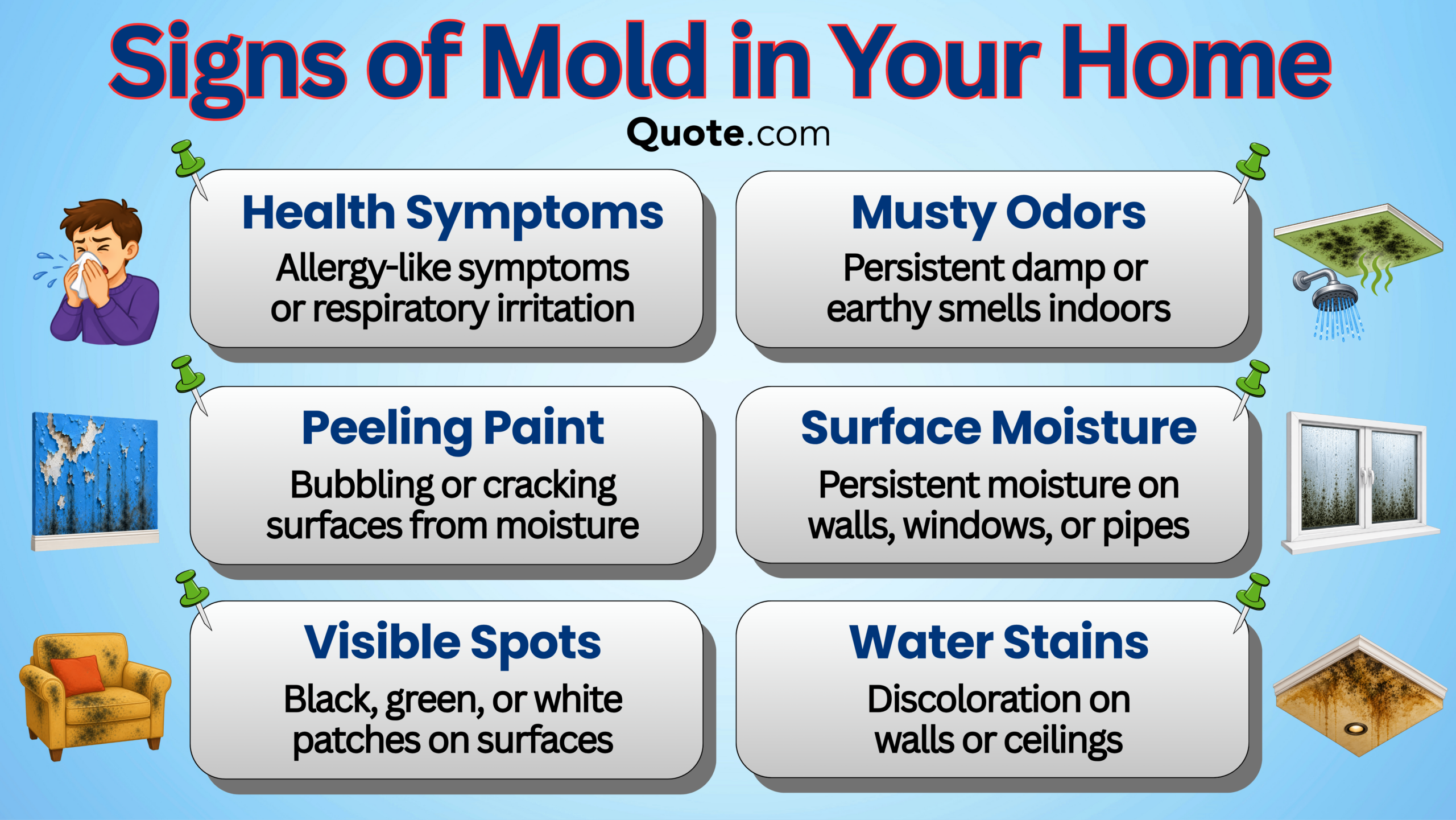 Signs of Mold in Your Home Infographic Signs of Mold in Your Home Infographic
