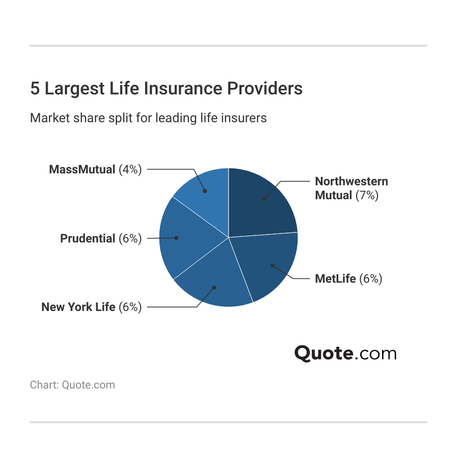 5 Largest Life Insurance Providers