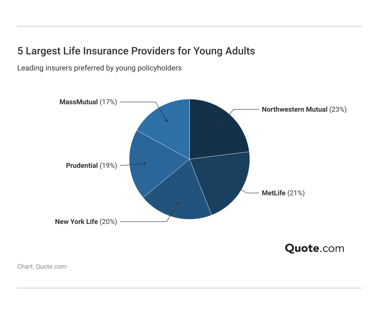 5 Largest Life Insurance Providers for Young Adults