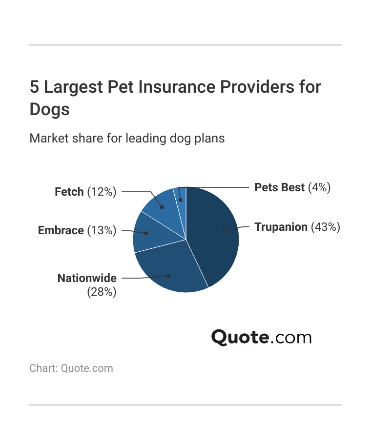 5 Largest Pet Insurance Providers for Dogs