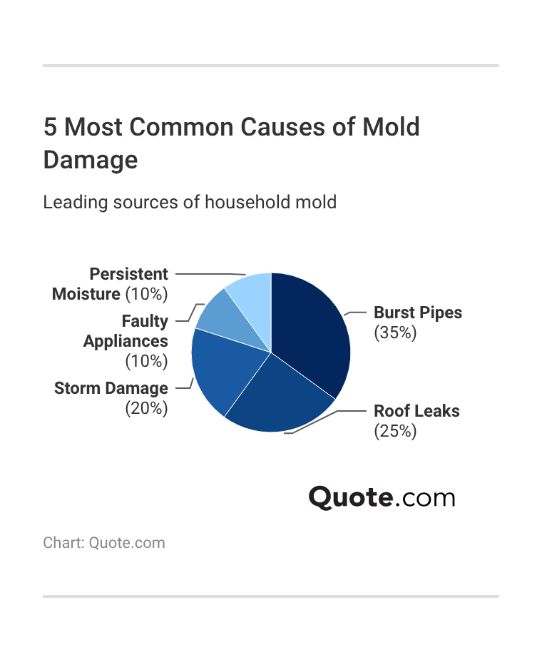 5 Most Common Causes of Mold Damage 5 Most Common Causes of Mold Damage