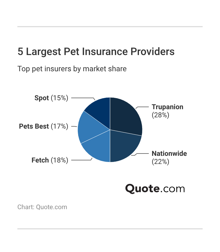 <h3>5 Largest Pet Insurance Providers</h3>