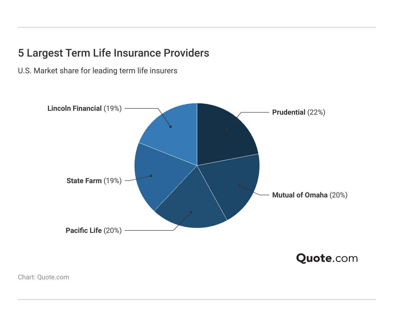 <h3>5 Largest Term Life Insurance Providers</h3>